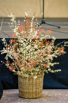 slavnostna seja 2025 -1 (4)